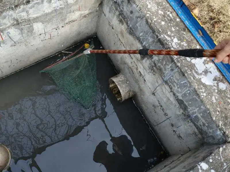 上海浦东周浦镇下水道疏通